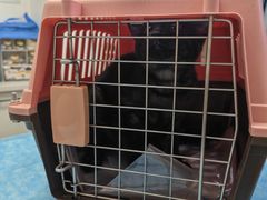 -瑞派·关忠动物医院·猫专科·犬专科(三环新城店)