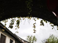 -鲁镇