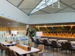 -虹桥机场国航贵宾室v8