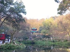 -岳麓山风景名胜区