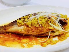 回味煎鲈鱼-顺德人家食府(黄金广场店)