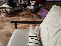 -The place那儿(新城国际店)