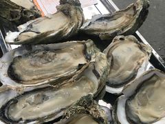 -蚝专家(北滘店)
