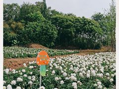 -桤木河湿地公园