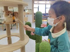 -喵园·猫主题咖啡厅·撸猫·猫咖(国贸店)