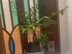 -顺风汤馆·广府粤菜(江宸天街店)