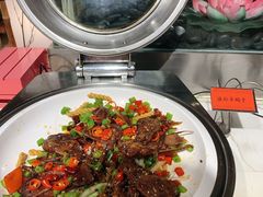 -裕龙汤泉