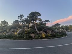 -罗红摄影艺术馆