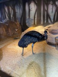 -酷嗒动物文化乐园(cutezoo西溪乐天城店)