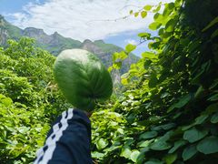 -神农山景区