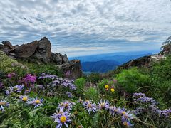 -白草畔自然风景区