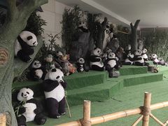-成都泰迪熊博物馆