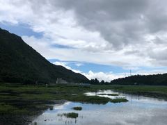 -腾冲北海湿地