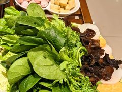 -老诚一锅羊蝎子(天通苑东三区直营店)
