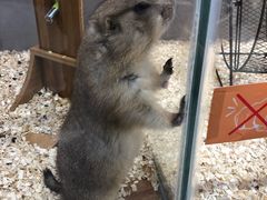 -狗道宠物(常熟印象城店)