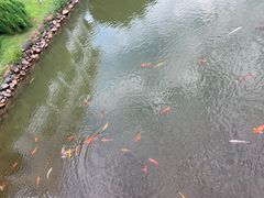 -黄山香茗国际酒店