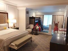 -澳门威尼斯人综合度假区