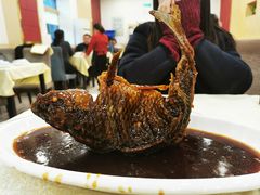罾蹦鲤鱼-奥华餐厅·老张记(台基厂店)