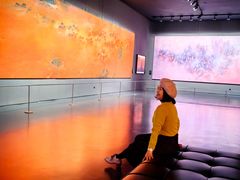 -罗红摄影艺术馆