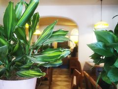 -绝城芋儿鸡(犀浦旗舰店)