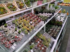 -KKV(天津津南吾悦广场店)