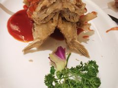 松鼠桂鱼-得月楼·省级非遗·传统苏帮菜(观前店)