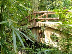 -大屏嶂森林公园