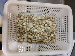 -南汇新城海滩