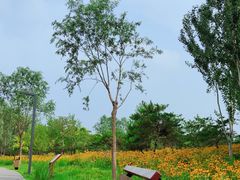 -东郊湿地公园