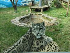 -青藏高原野生动物园