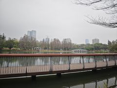 -四海公园(南山区)