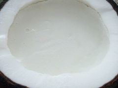-志龙皇冠吃货椰子铺