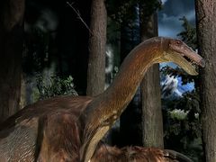 -陕西自然博物馆