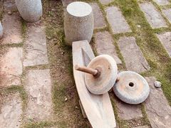 -黄龙溪欢乐田园