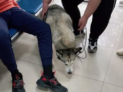 -申普宠物医院·眼科·心内科·影像科(普陀分院)