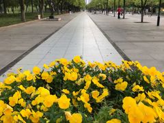 -武汉两江游览·夜游长江(汉口粤汉码头)