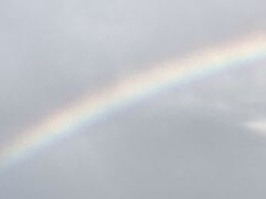 -石头咕(葵蓬店)