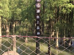 -南昌青山湖风景区