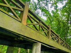 -桤木河湿地公园