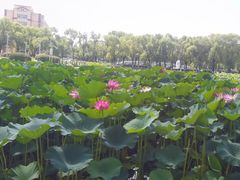 -哈尔滨师范大学(松北校区)