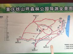 -铁山坪森林公园