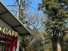 -BUND·FIVE外滩5号(天际店)