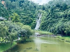 -水濂山森林公园