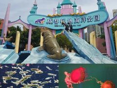 -海合安成都极地海洋公园