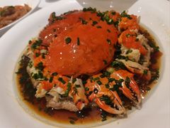 -沪碟·精菜坊(闵行店)