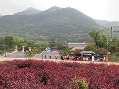 -华清宫景区