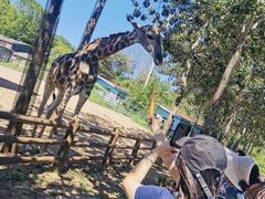 -大连森林动物园