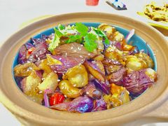 -普天和酒楼·新津菜·烤鸭(天津之眼店)