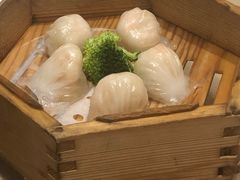 -宝园酒家(美林M·LIVE天地东座店)