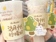 -猫的魔法密林(衣裳街店)